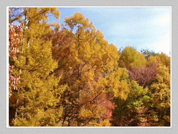 秋天树林油画图片