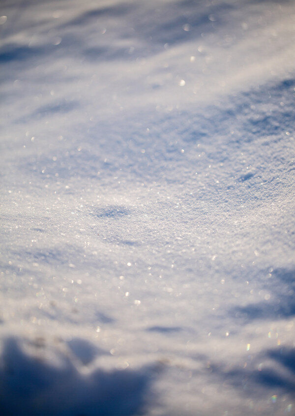 雪地