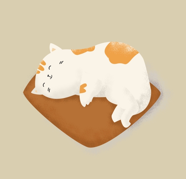躺在垫子上睡觉的小猫图片