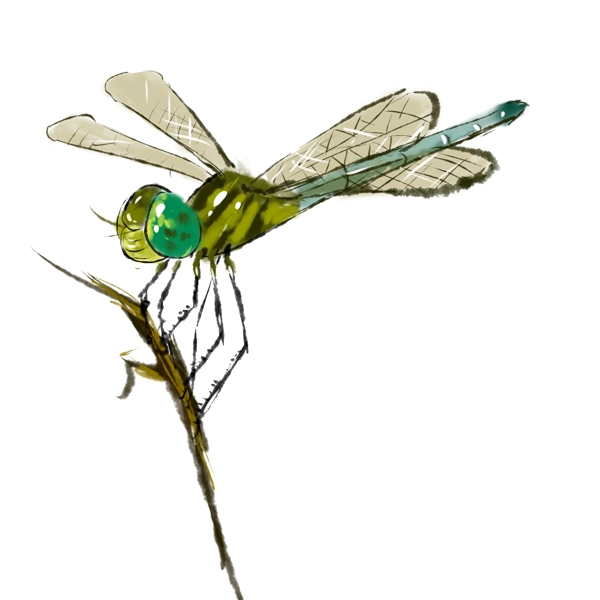 蜻蜓水墨中国风手绘复古