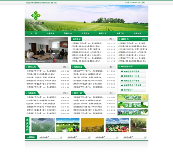 绿色版式网页设计