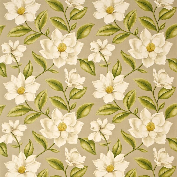 白色花朵无缝壁纸图