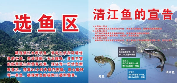 清江鱼海报图片
