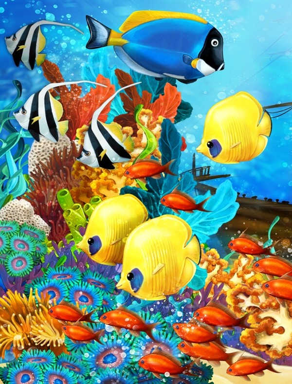 色彩艳丽的海底动物图片