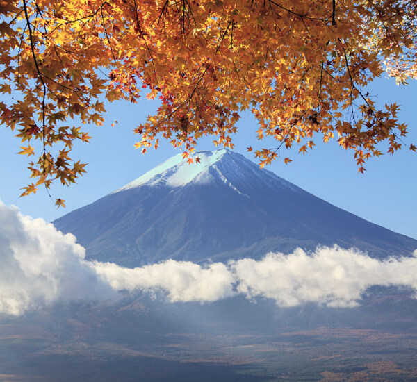 美丽富士山风景图片