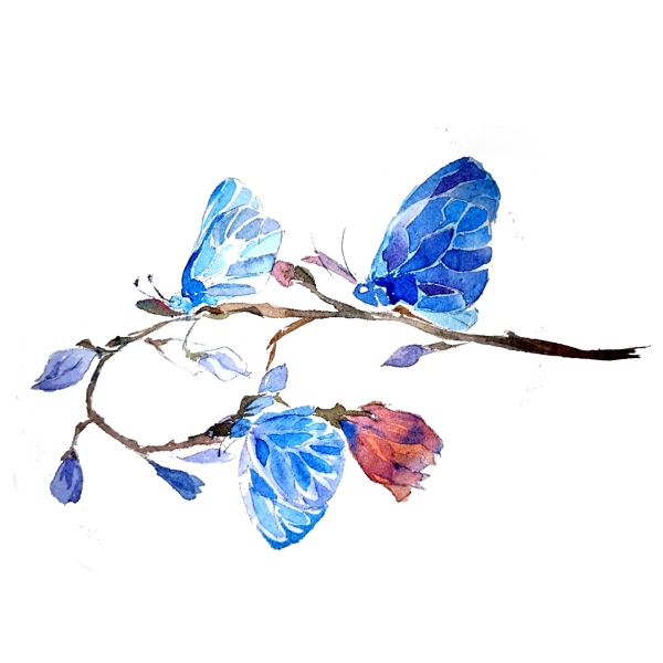 蝴蝶透明翅膀蓝色美丽昆虫PNG