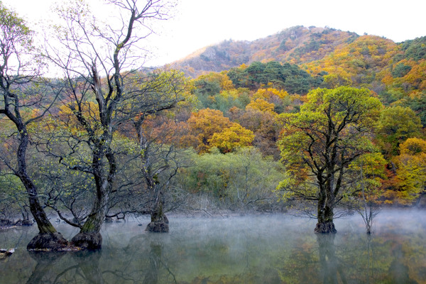 风景画图片