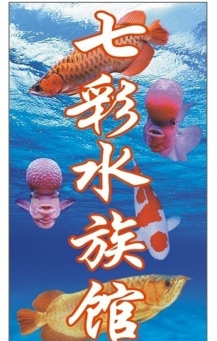 水族馆图片