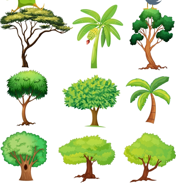 各种树创意树木图片
