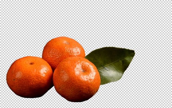小蜜橘图片