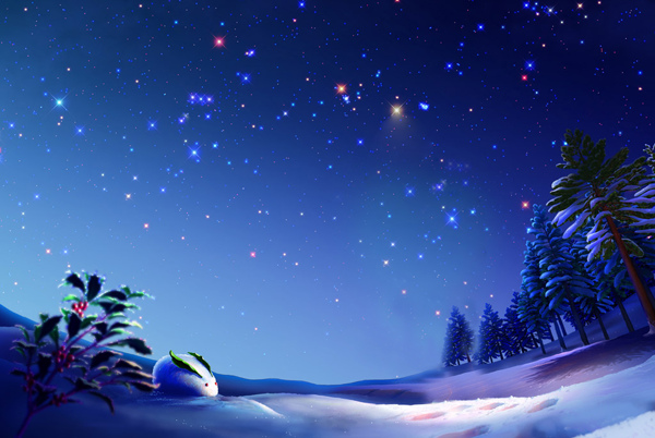 雪夜星空