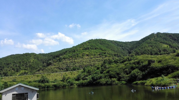 水库蓝色天空白云山林