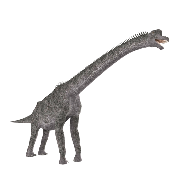 立体恐龙灰色恐龙
