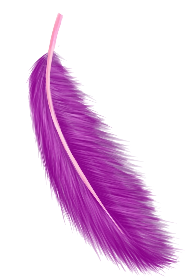 紫色羽毛羽翼