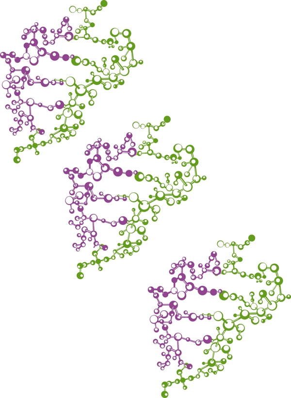 分子绿色紫色