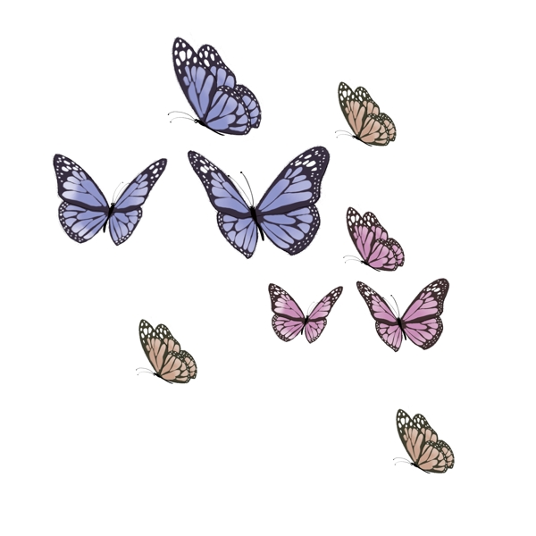 蝴蝶装饰元素图片