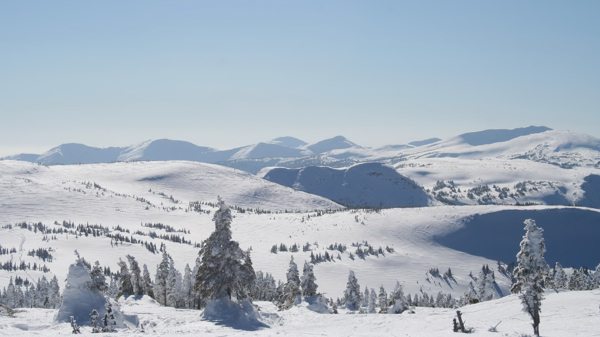 美丽雪原风景图片