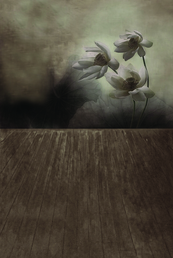 白莲花与木地板影楼摄影背景图片