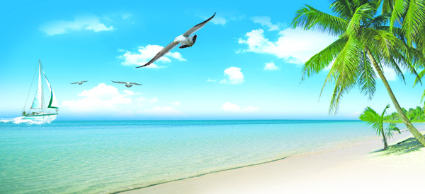 夏日湛蓝海滩椰树图片
