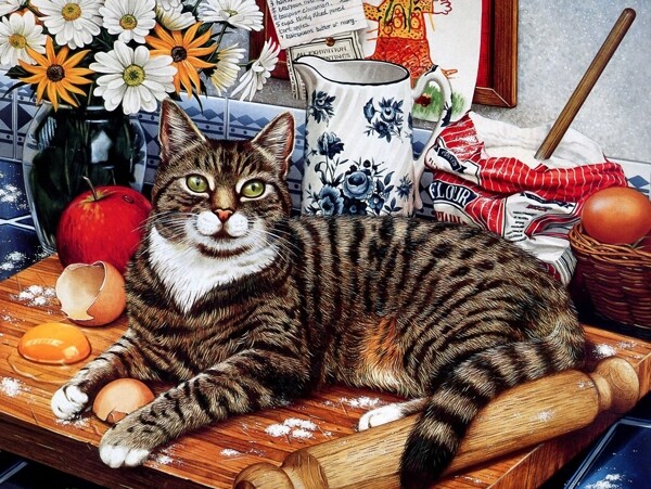 猫咪宠物手绘画45猫