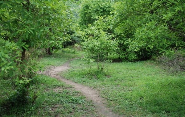 静美自然风景图片