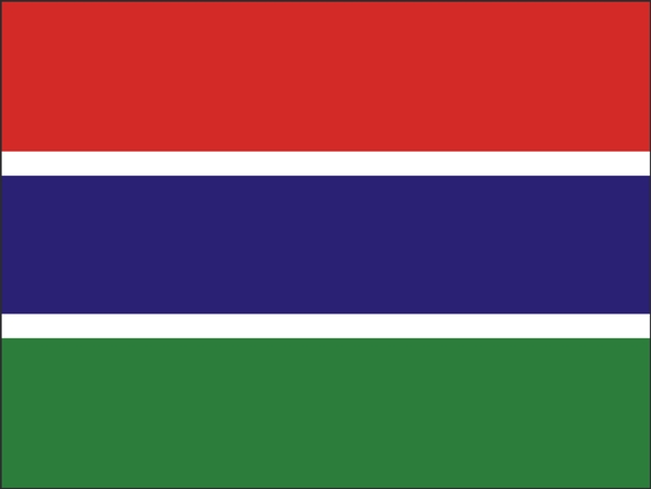 矢量非洲花生大国冈比亚国旗