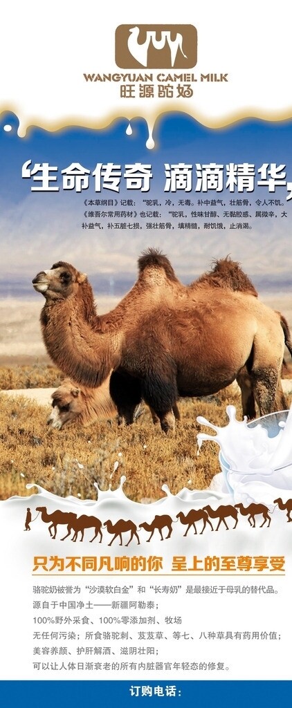 骆驼奶展架图片