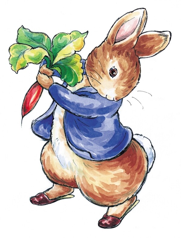 兔子拔萝卜图片