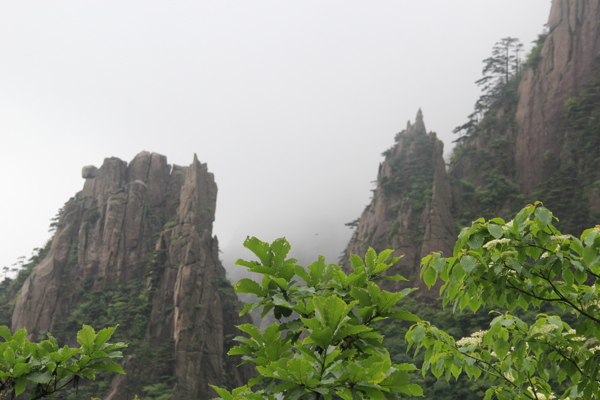 黄山图片