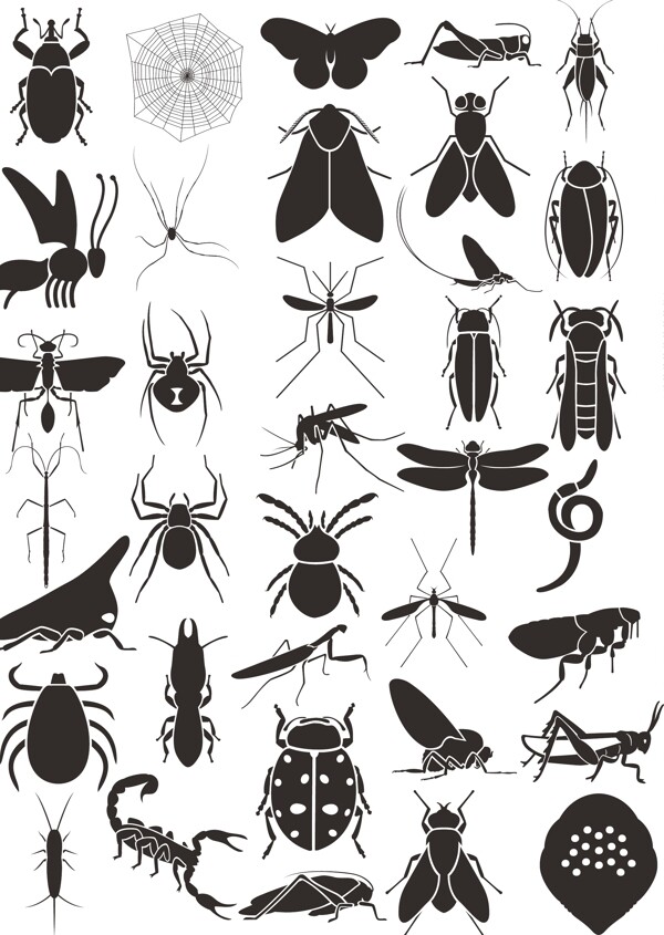 昆虫剪影汇总图片
