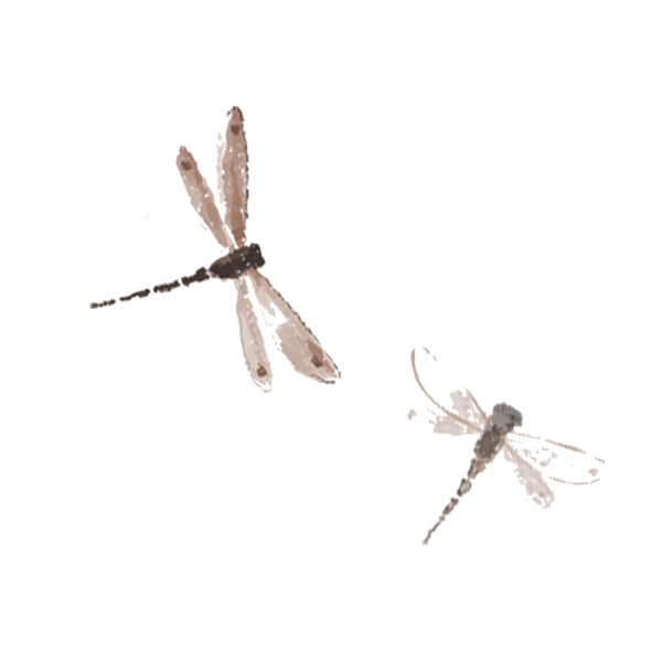 手绘蜻蜓动物卡通透明素材