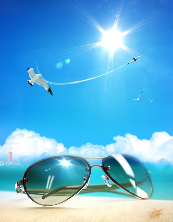 蓝天白云阳光海滩墨镜海鸥飞机拉线图片