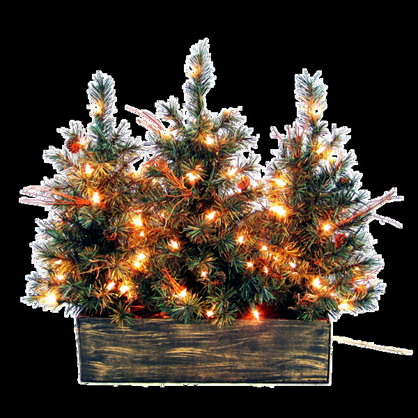 圣诞树和灯饰免抠png透明素材