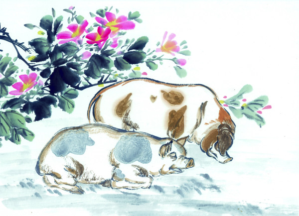 十二生肖猪水墨画图片