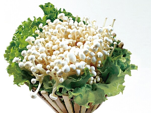 豫菜鲜金针菇图片