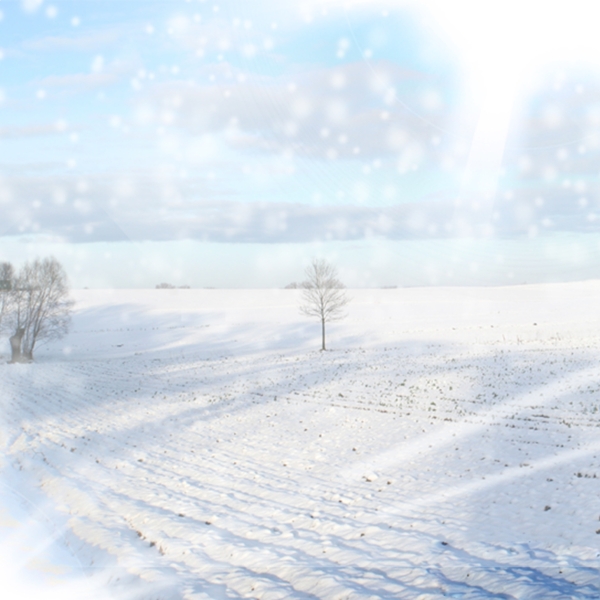 雪景背景