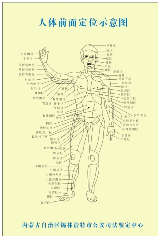 人体穴位图手绘矢量图部位
