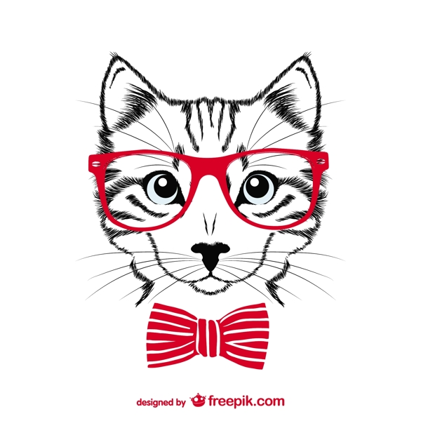 时髦的红色眼镜的猫