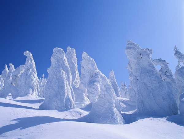 冰山雪地