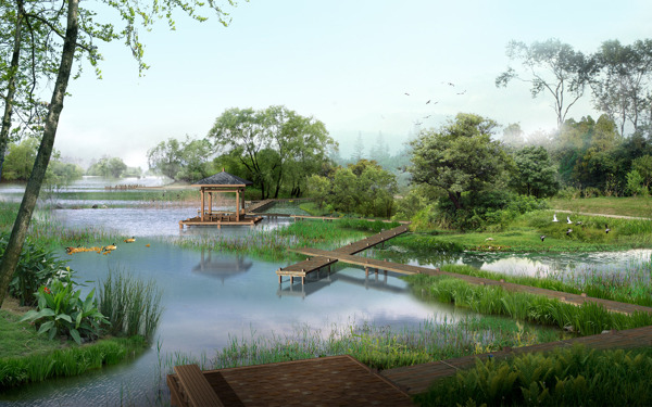 湿地公园景观效果图片