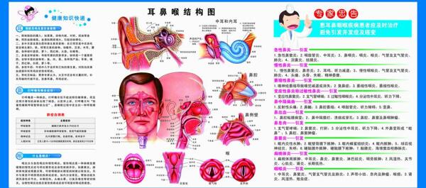 耳鼻喉科结构图解图片