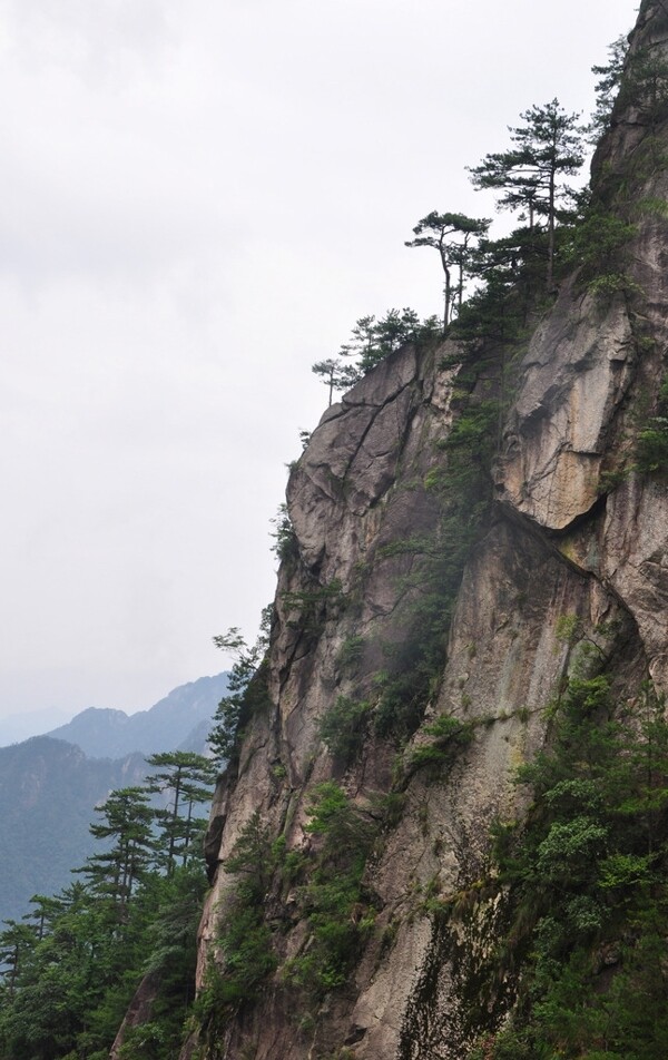 青山风景