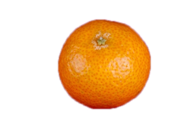 又圆又大的一个橘子