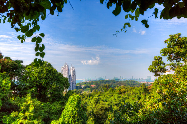 新加坡花芭山
