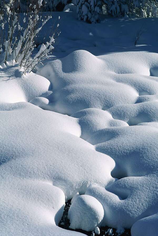 冬日雪景