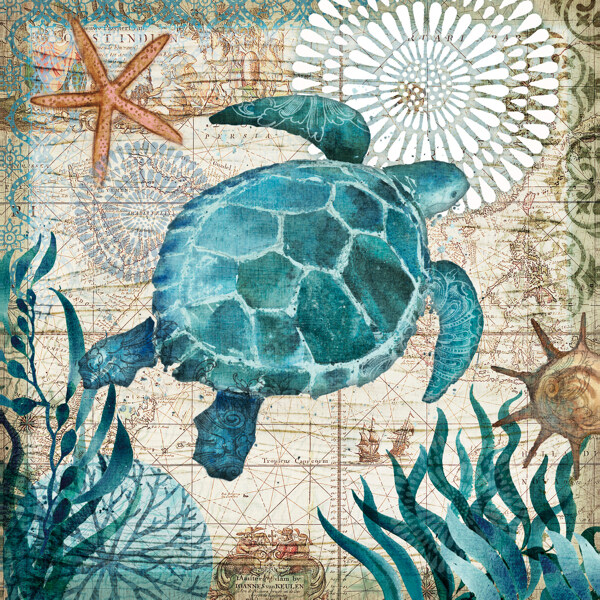 蓝色海洋海洋素材海龟