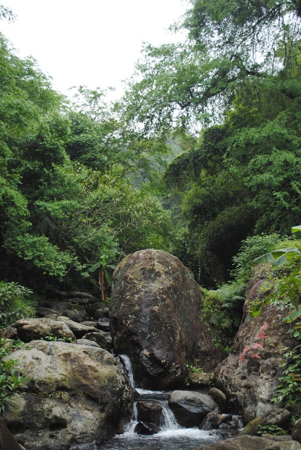 山间小溪图片