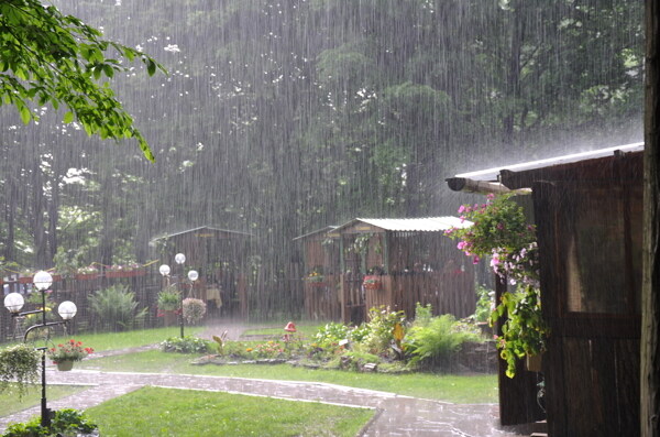 庭院中的雨图片