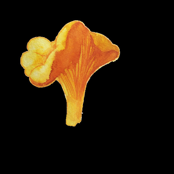 金黄蘑菇卡通透明素材