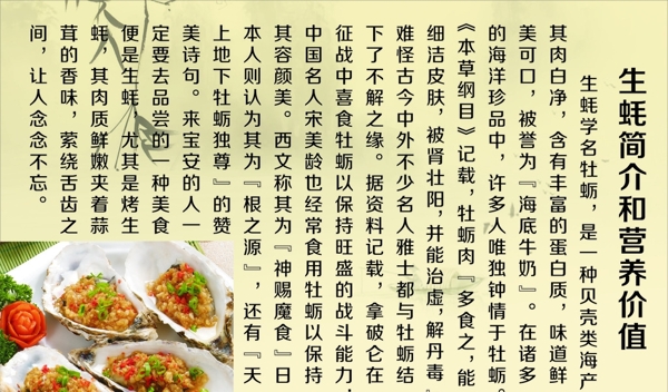 生蚝简介图片